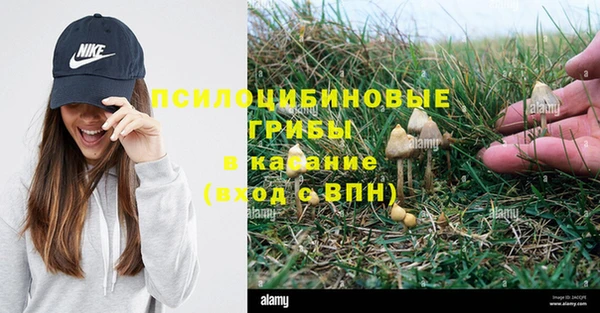 спайс Новодвинск