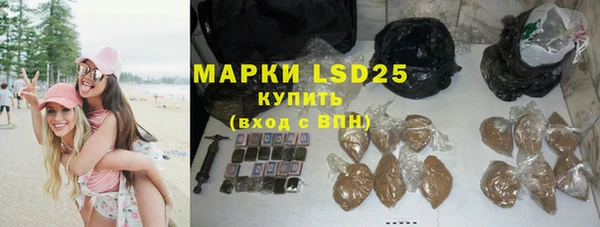 спайс Новодвинск